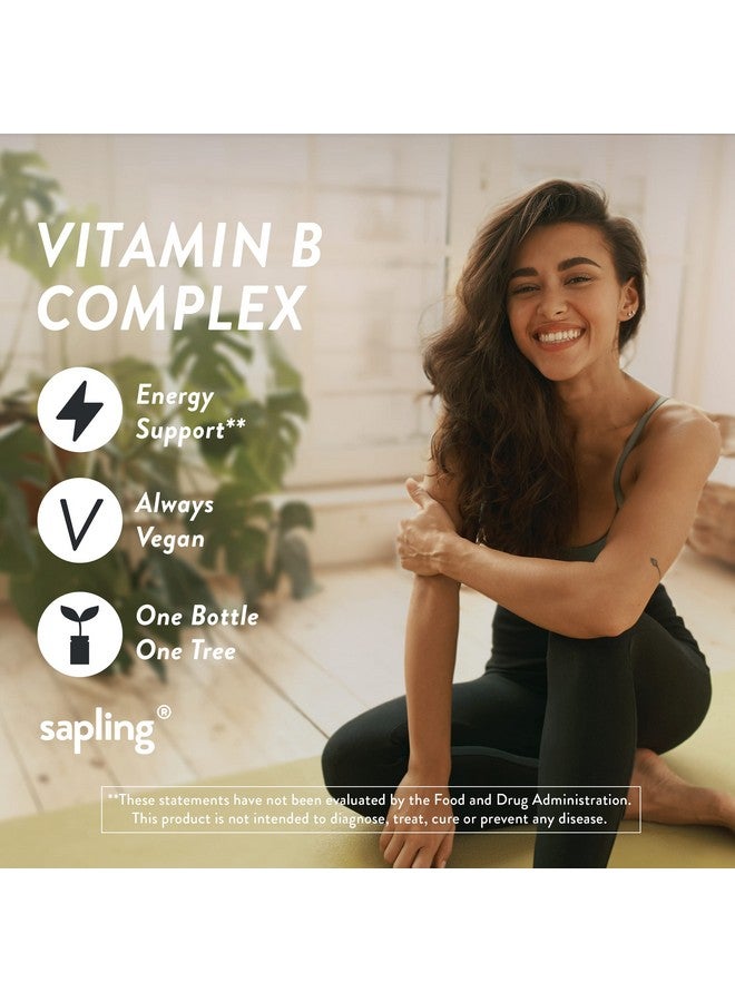 sapling Vegan Vitamin B Complex Whole Food Blend With Essential B Vitamins B1 B2 B3 B5 B6 B7 Folate B12 60 Caps  - Image 3