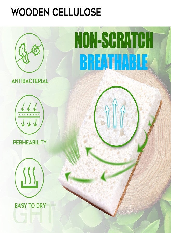 PANYEE Natural Sponges Kitchen 9Pack,Eco Friendly Non-Scratch Scrub Sponge,Biodegradable Sisal Scrubber with Compostable Dish Sponges for Kitchen Cleaning… - Image 3