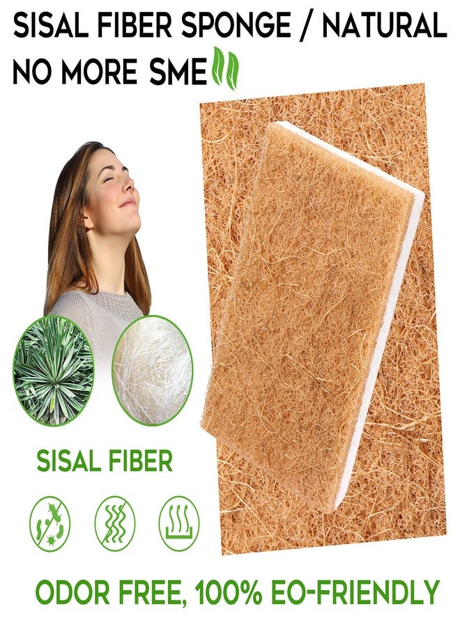 PANYEE Natural Sponges Kitchen 9Pack,Eco Friendly Non-Scratch Scrub Sponge,Biodegradable Sisal Scrubber with Compostable Dish Sponges for Kitchen Cleaning… - Image 2