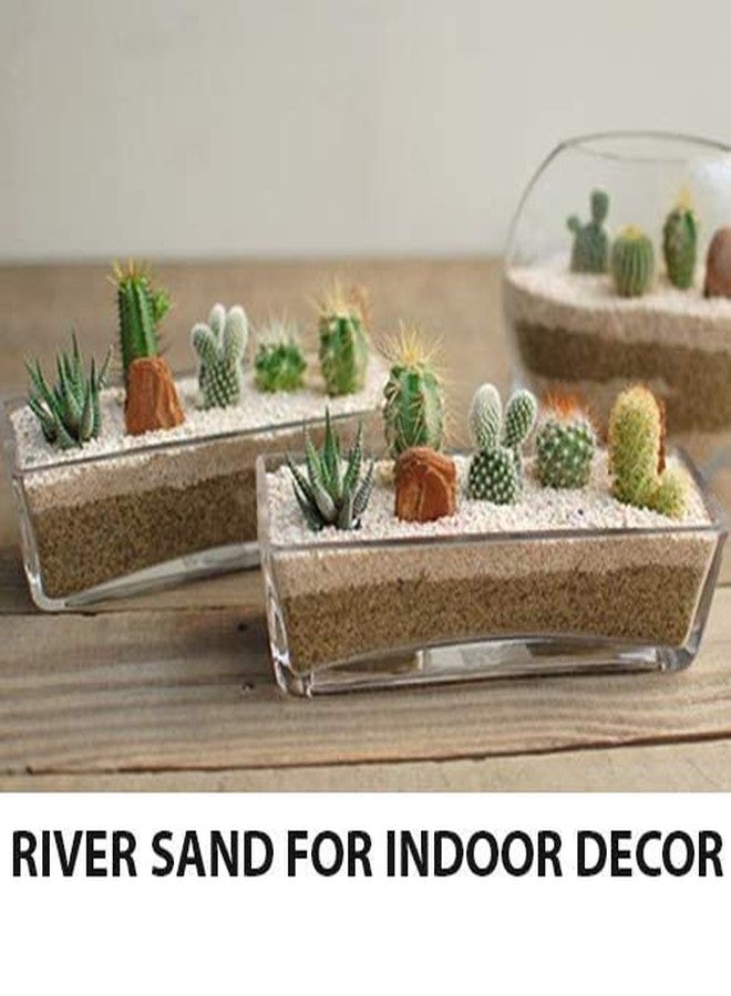 Samariya Natural River Sand Aquarium Substrate 100% Pure Sand for Fish Tank and Ponds, Substrate Plant Sand (1 Kg) - Image 4