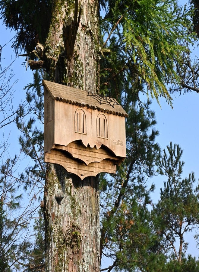 Capruzad Wooden Castle Bat House with Gatehouse/Tower/Curtain Wall Design, Large Ventilated 2/3 Chamber Bat Box, Ideal for Outdoor Bat Attraction, Easy to Hang (Brown, Curtain Wall - 2 Chamber) - Image 3