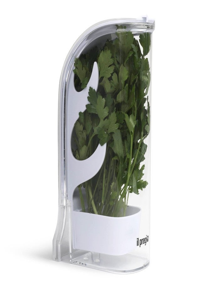 Il Pregio Fresh Herb Keeper - Long - Lasting Plastic Herb & Green Preserver (Cilantro, Mint, Parsley, Asparagus & More) - Image 1