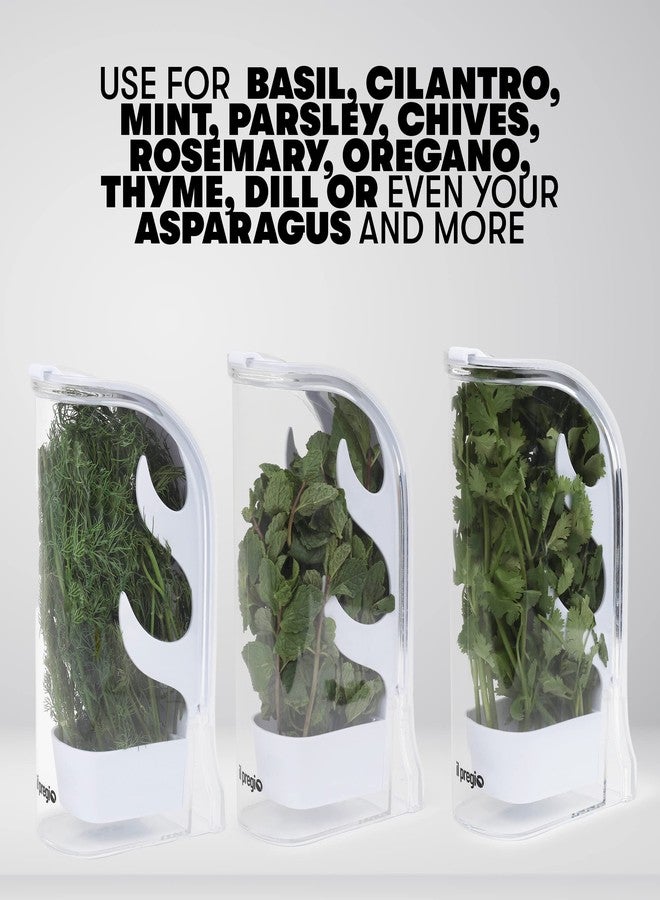 Il Pregio Fresh Herb Keeper - Long - Lasting Plastic Herb & Green Preserver (Cilantro, Mint, Parsley, Asparagus & More) - Image 3