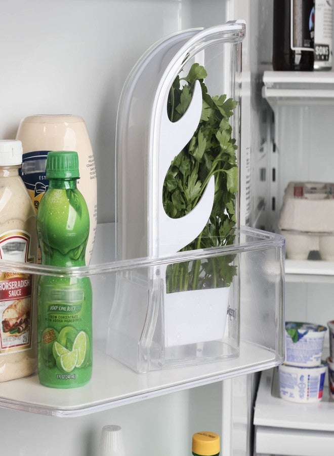 Il Pregio Fresh Herb Keeper - Long - Lasting Plastic Herb & Green Preserver (Cilantro, Mint, Parsley, Asparagus & More) - Image 5
