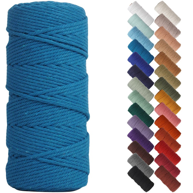 NOANTA Lake Blue Macrame Cord 3mm x 109yards Colored Macrame Rope Cotton Rope Macrame Yarn Colorful Cotton Craft Cord for Wall Hanging Plant Hangers Crafts Knitting