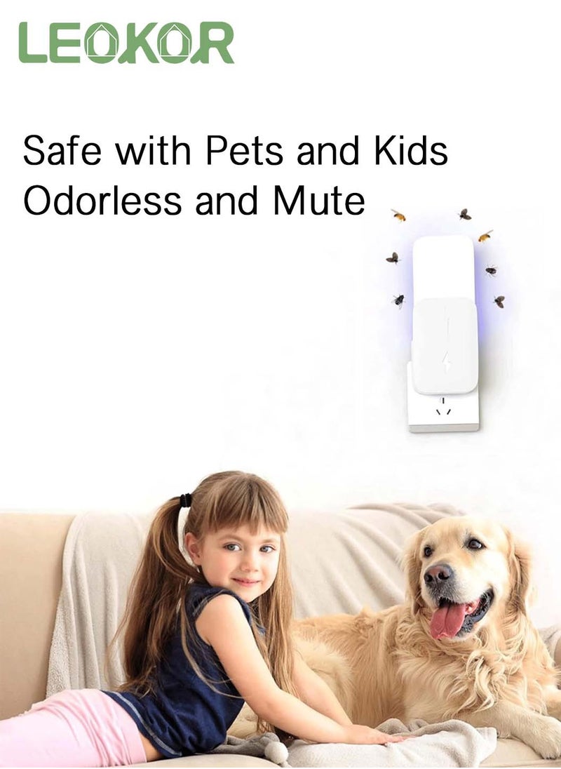 Gnat Traps for House Indoors, Plug-in Fly Insect Trap, Killer for Mosquitos, Fruit Flies, Non-Zapper Traps for Noise Free Home, Catch Insects Indoors with Bug Light (1 Device + 5 Refills)