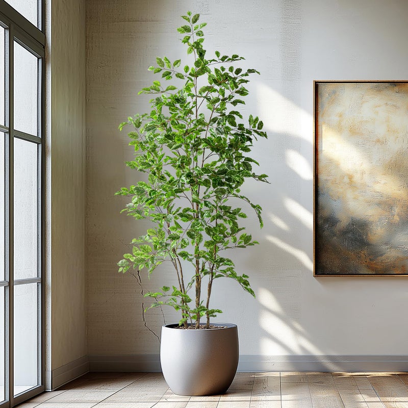 Bailikang Artificial Ficus Tree Indoor 6ft, Large Potted Faux Tree with Realistic Silk Leaves & Trunk for Home Office, Living Room Corner Decor - Image 4