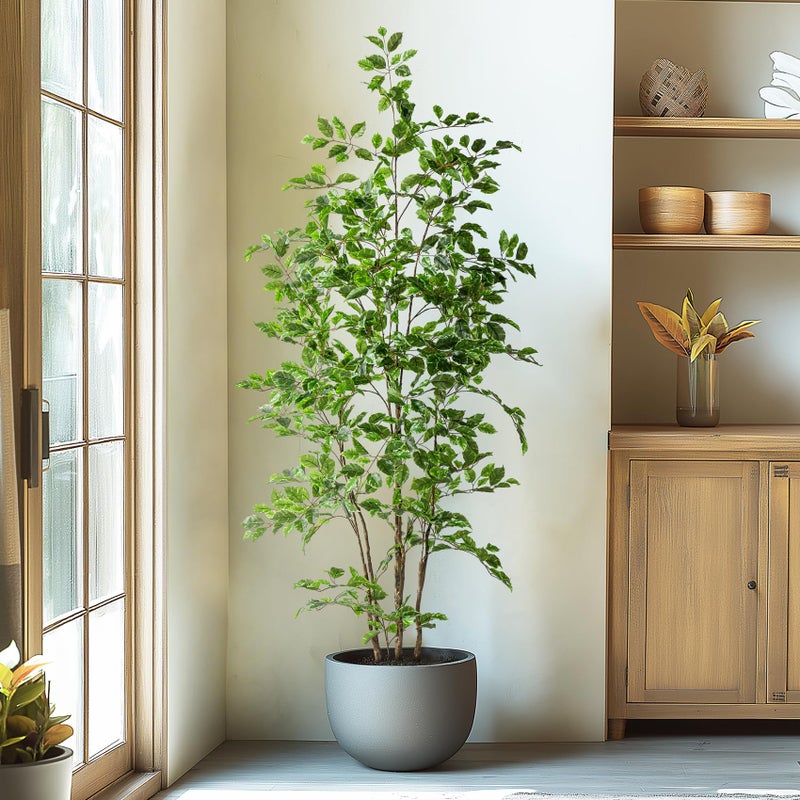Bailikang Artificial Ficus Tree Indoor 6ft, Large Potted Faux Tree with Realistic Silk Leaves & Trunk for Home Office, Living Room Corner Decor - Image 5