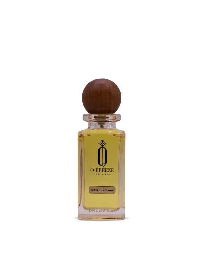 روطعلل زيرب عطر أرتيميسيا بريز أو دو بارفان 75 مل للرجال والنساء | عطر عربي يدوم طويلاً | رائحة فاخرة وقوية - Image 1