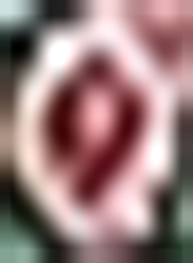 جي جوت 100 قطعة من بذور الداليا متعددة الألوان، زهرة زينة معمرة، زينة فناء، عتبة نافذة، حديقة، صيانة منخفضة، إدارة سهلة في الهواء الطلق - Image 1