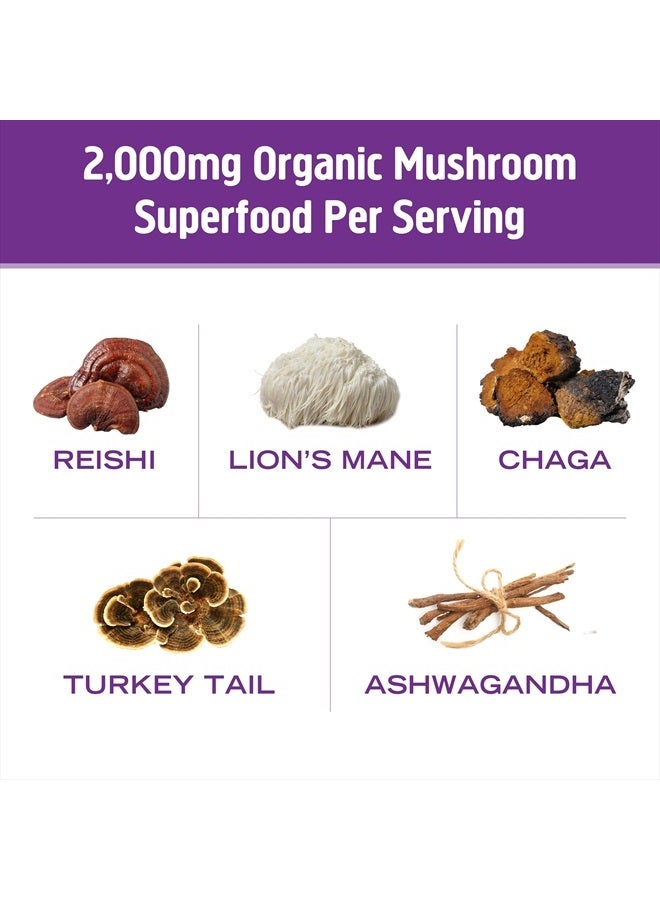 OM Mushroom Superfood Hot Chocolate Blend Mushroom Powder, Single Serve, 10 Count, Dutch Cocoa, 2g of Sugar, 25 Calories, Lion's Mane, Reishi, Chaga, Turkey Tail, Focus and Stress Support - Image 4