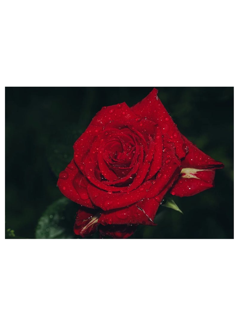 Anna 3D Rose Flower 1000-Piece Puzzle - Image 1