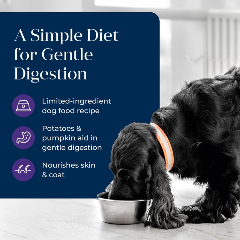 Blue Buffalo Basics Grain-Free Senior Wet Dog Food, Skin & Stomach Care, Limited Ingredient Diet, Turkey Recipe, 12.5-oz. Cans, 12 Count - Image 3