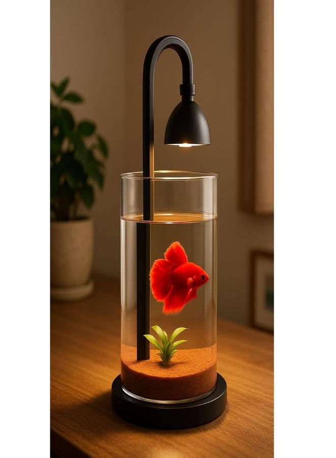KSH STORE حوض سمك صغير دائري من الأكريليك من KSH STORE®، طراز PS-10S، سعة 1.5 لتر، مزود بإضاءة LED بسبعة ألوان، يعمل بمنفذ USB، تصميم صغير الحجم مناسب لأسماك البيتا والجوبي، متوفر باللونين الأسود والأبيض. - Image 4