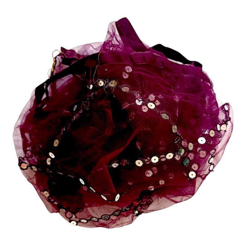 ARIPAN Net mirror sitara dupatta embroidry work sequins for women and girls free size 2m pack of 1pcs - Image 3