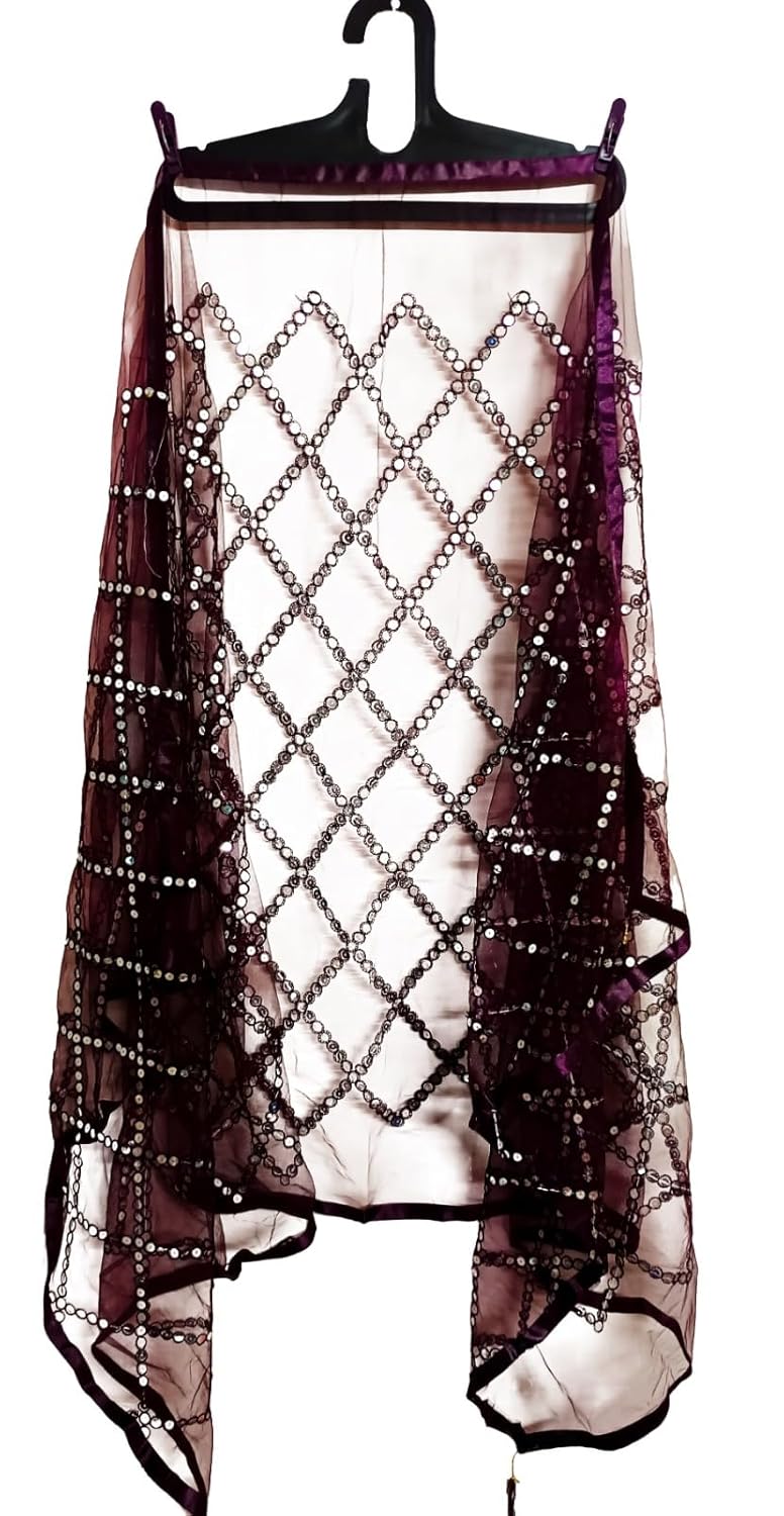 ARIPAN Net mirror sitara dupatta embroidry work sequins for women and girls free size 2m pack of 1pcs - Image 4
