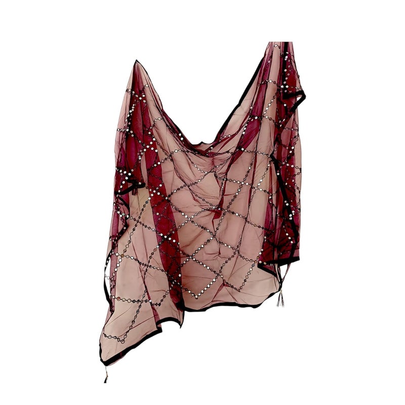 ARIPAN Net mirror sitara dupatta embroidry work sequins for women and girls free size 2m pack of 1pcs - Image 1