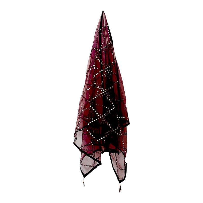 ARIPAN Net mirror sitara dupatta embroidry work sequins for women and girls free size 2m pack of 1pcs - Image 5