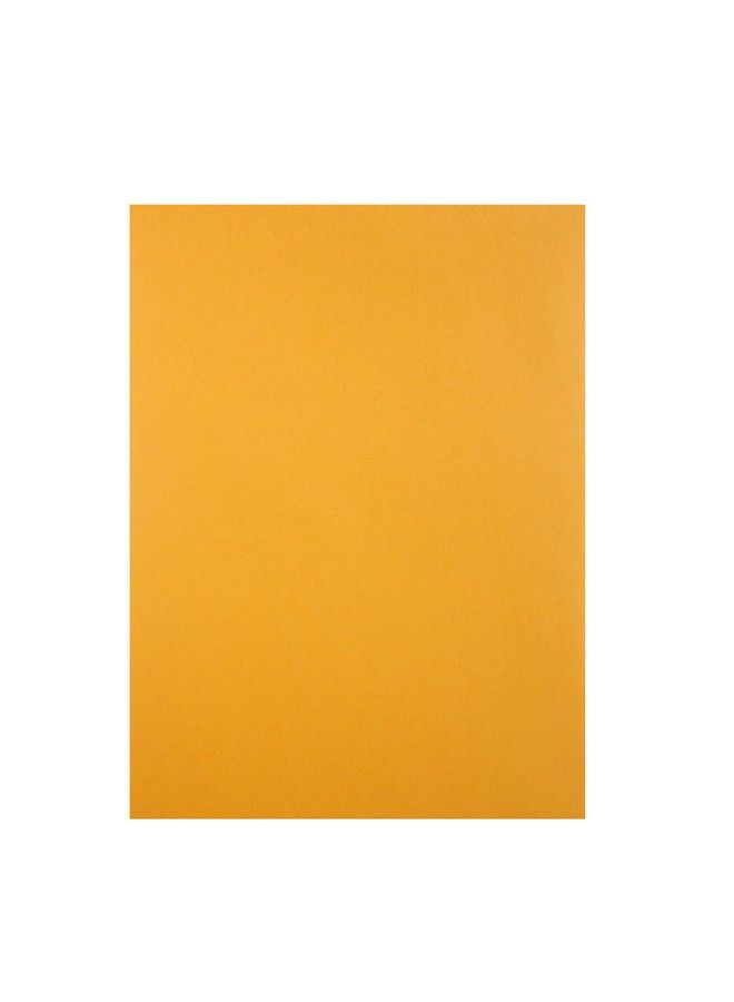 Quality Park Rediseal 9 X 12 Inch Kraft Catalog Envelopes 250 Count (43562) Light Brown - Image 4