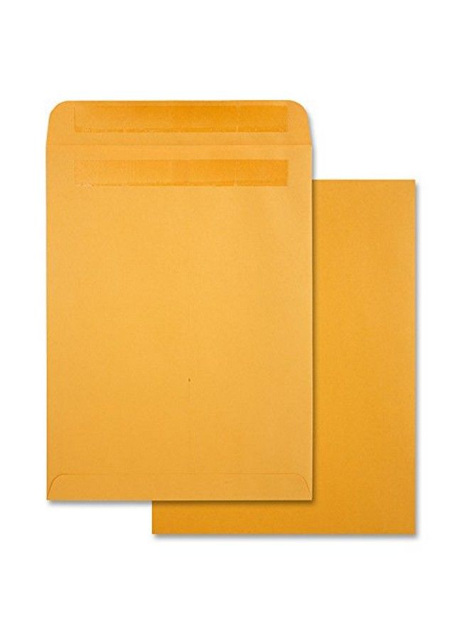 Quality Park Rediseal 9 X 12 Inch Kraft Catalog Envelopes 250 Count (43562) Light Brown - Image 1