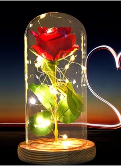 Festive Gallery Beauty and The Beast Rose Fake Flowers Enchanted Rose in Glass Dome Rose lamp Gifts, LED Light Romantic Home Decor Gifts for Valentine's Day Mother's Day Wedding Anniversary  - Image 2
