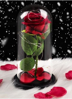 Festive Gallery Beauty and The Beast Rose Fake Flowers Enchanted Rose in Glass Dome Rose lamp Gifts, LED Light Romantic Home Decor Gifts for Valentine's Day Mother's Day Wedding Anniversary  - Image 5