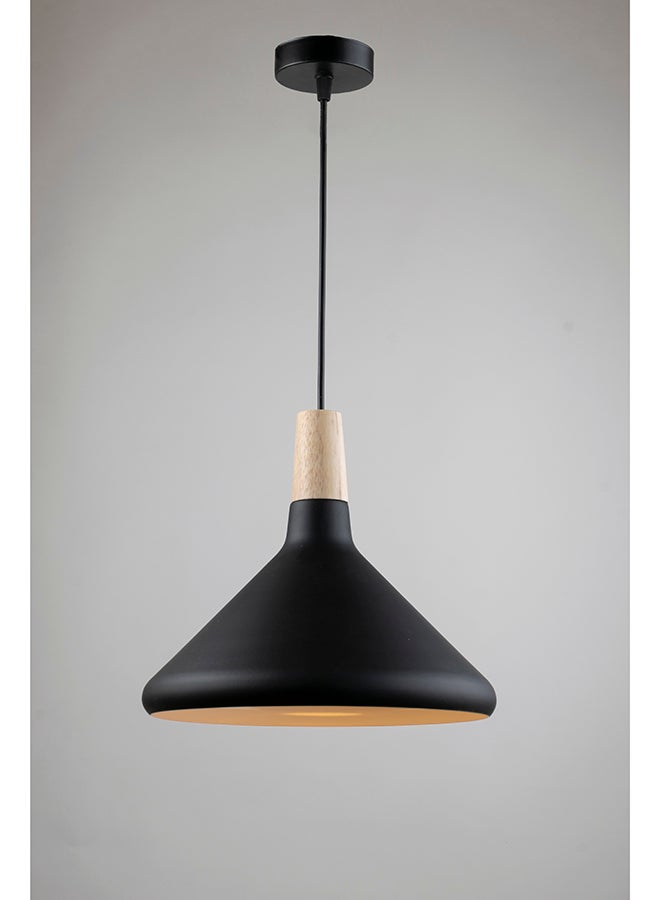 NAGAFA SHOP Black Modern Ceiling Lamp-M5B  - Image 1