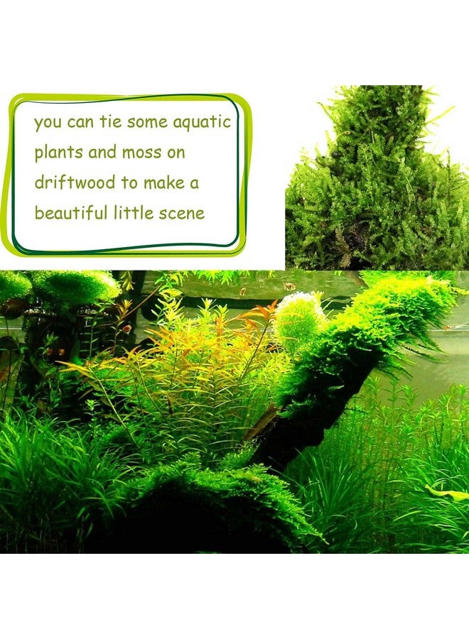 kathson Natural Aquarium Driftwood Decoration Branches Reptiles Terrarium Ornament Wood Fish Tank Habitat Decor Assorted Sizes Wood 3 PCS - Image 3