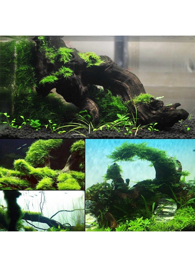 kathson Natural Aquarium Driftwood Decoration Branches Reptiles Terrarium Ornament Wood Fish Tank Habitat Decor Assorted Sizes Wood 3 PCS - Image 4