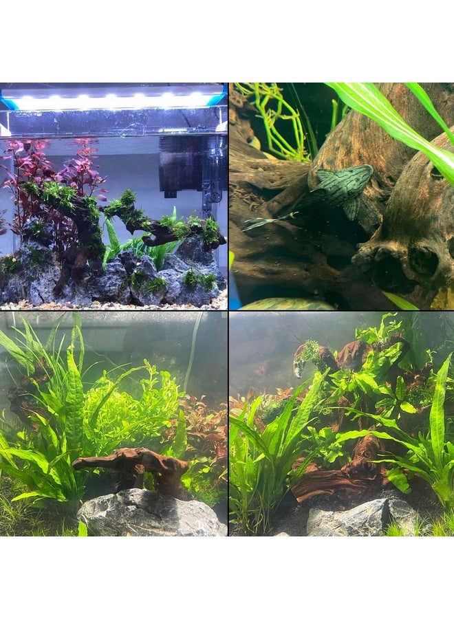 kathson Natural Aquarium Driftwood Decoration Branches Reptiles Terrarium Ornament Wood Fish Tank Habitat Decor Assorted Sizes Wood 3 PCS - Image 5