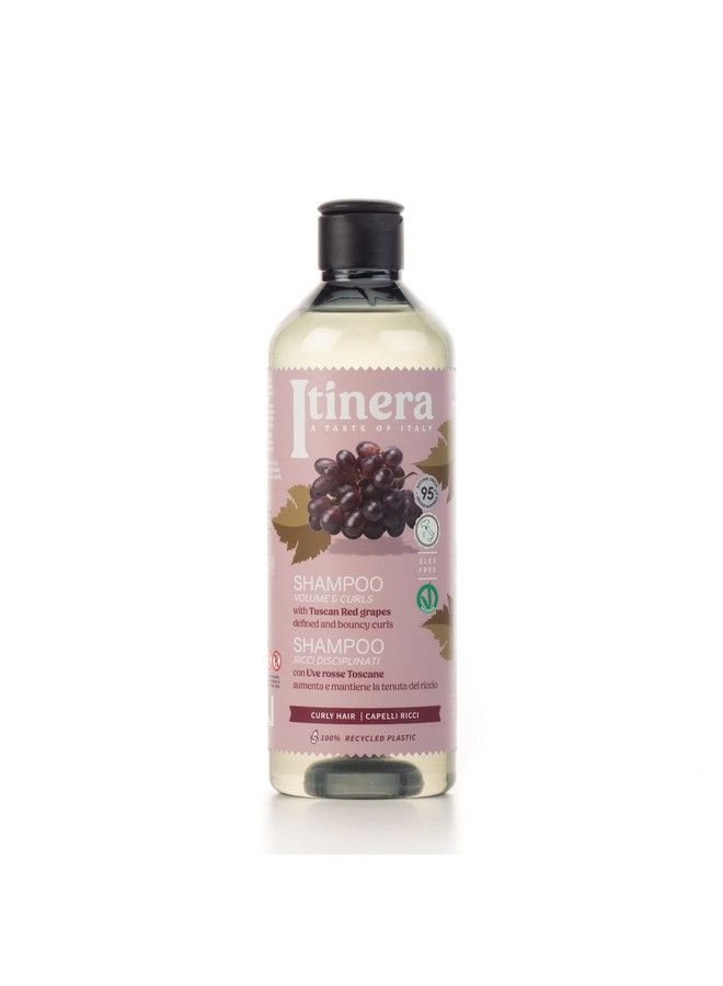 ITÍNERA Volume & Curls Shampoo With Tuscan Red Grapes (12.51 Fl Oz) For Defined And Bouncy Curls Vegan Friendly 95% Natural Origin Ingredients - Image 2