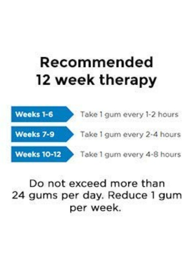 Nicotex علكة سيبلا نيكوتكس نيكوتين خالية من السكر بنكهة النعناع مع ٢ ملغ | تساعد على الإقلاع عن التدخين | علاج معتمد من منظمة الصحة العالمية | ٤٠ علكة في العلبة | عبوة واحدة - Image 3