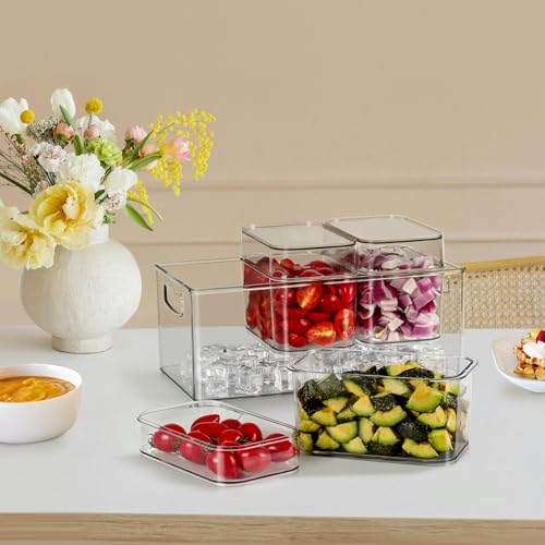 Hudgan Large Taco Bar Serving Set for Party with 3 Containers(50 Oz), Mimosa Bar Accessories with Separate Lids, Chilled Condiment Caddy Organizer for Salad, Fruit, Party Garnish - Image 5