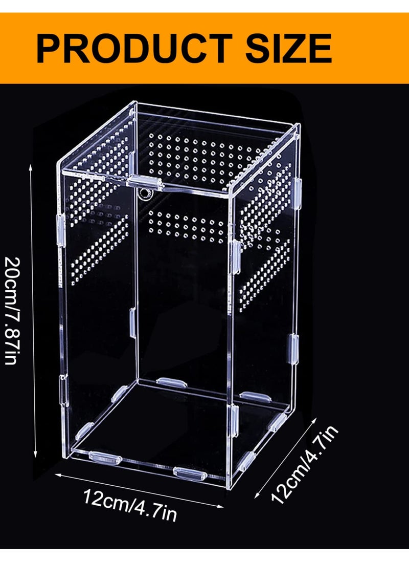 Excefore Transparent Reptile Feeding Box, Terrarium Breeding Habitat for Spiderlings, Insects, Geckos, and Other Reptiles, Ideal for Snails, Bearded Dragons, Stick Insects(12cm x 12cm x 20cm)  - Image 2