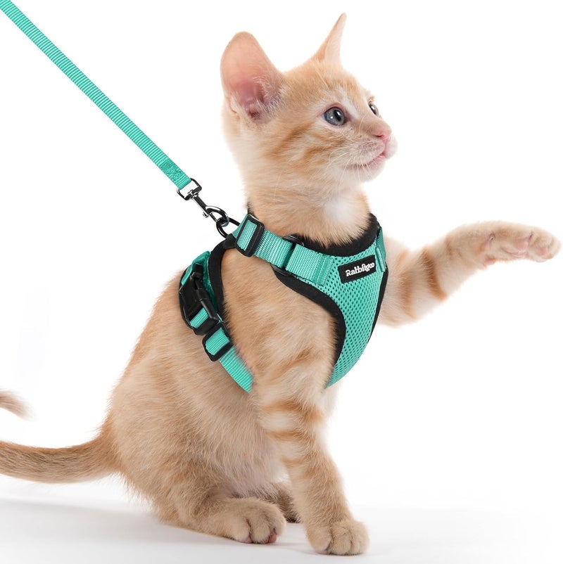 Rabbitgoo Cat Harness and Lead Set, Adjustable Escape Proof Cat Lead for Walking, Reflective Kitten Harness Set, Soft and Comfortable for Kittens and Small Cats, Green, XXS - Image 1
