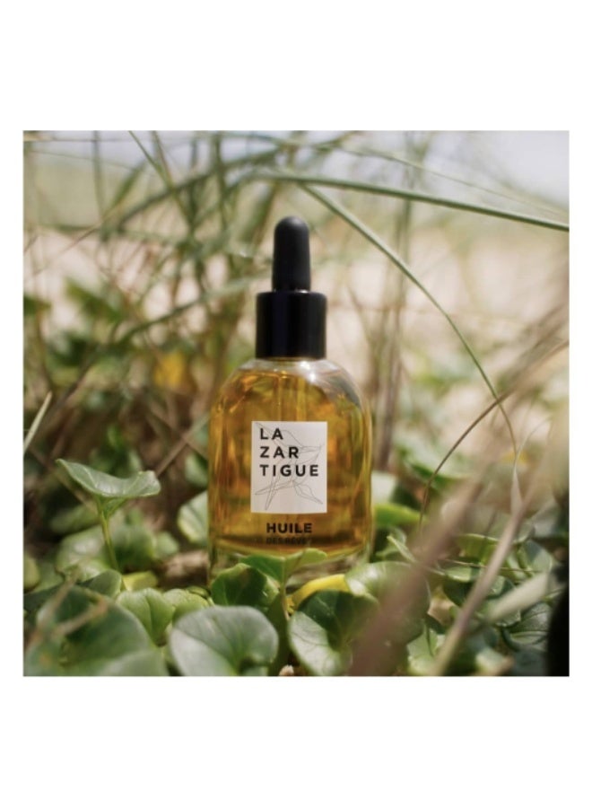لازار تيجو زيت لازارتيج هويل دي ريف المغذي للشعر الجاف، 50 مل - Image 3