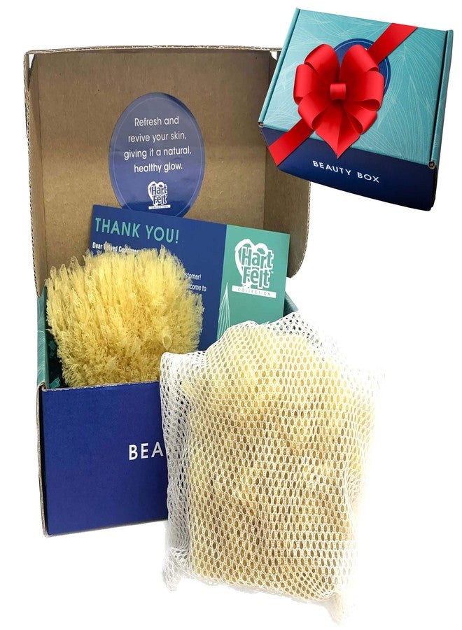 HartFelt Yellow Sea Sponge Beauty Box for Gentle Exfoliation | 2 Bath Sponges for Shower Women & Men 4 in | Body Sponge with Mesh Bag for Cleaning & Drying | Reusable Natural Sponge - Gift Box - Image 1