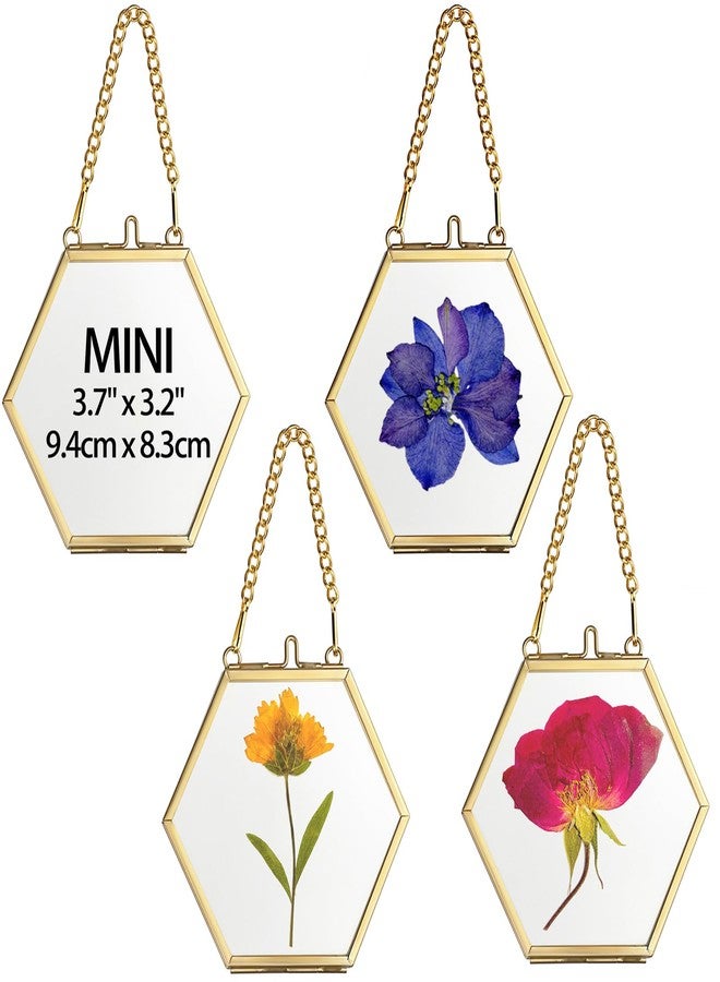 JUXYES 4 Pack Hexagon Mini Wall Hanging Brass Frames for Pressed Flowers, Double Glass Hanging Picture Artwork Display Frame, Gold Floating Style Gallery Wall Frame for Picture, Poster, etc - Image 1