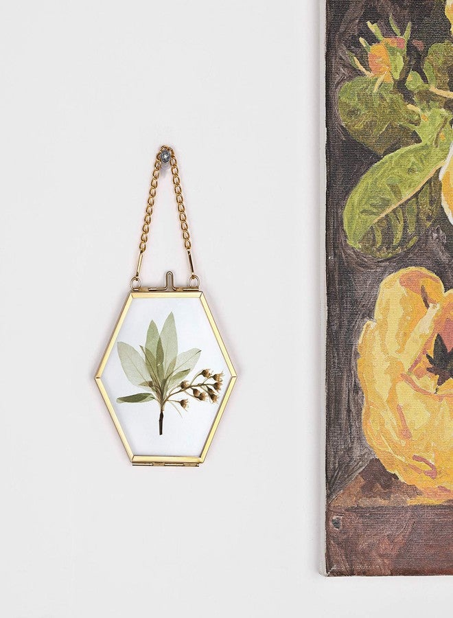 JUXYES 4 Pack Hexagon Mini Wall Hanging Brass Frames for Pressed Flowers, Double Glass Hanging Picture Artwork Display Frame, Gold Floating Style Gallery Wall Frame for Picture, Poster, etc - Image 5