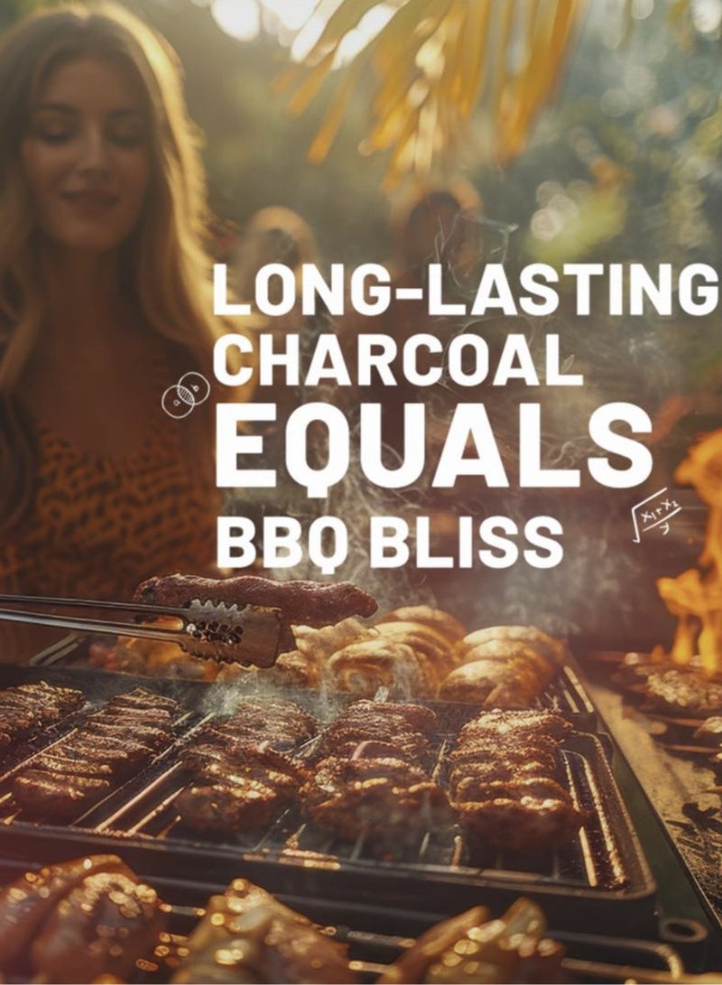 Fuego 10KG BBQ Natural Hardwood Briquettes Charcoal - Image 4