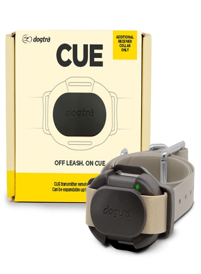 Dogtra CUE Add On Black Ecollar with Safety Level Lock Boost Vibration Waterproof Rechargeable for Small Medium Large Dogs Dog Training Collar by Dogtra - Image 1