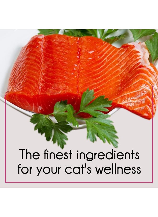 PUREPET Dry Cat Food  Tuna & Salmon 3Kg  - Image 5
