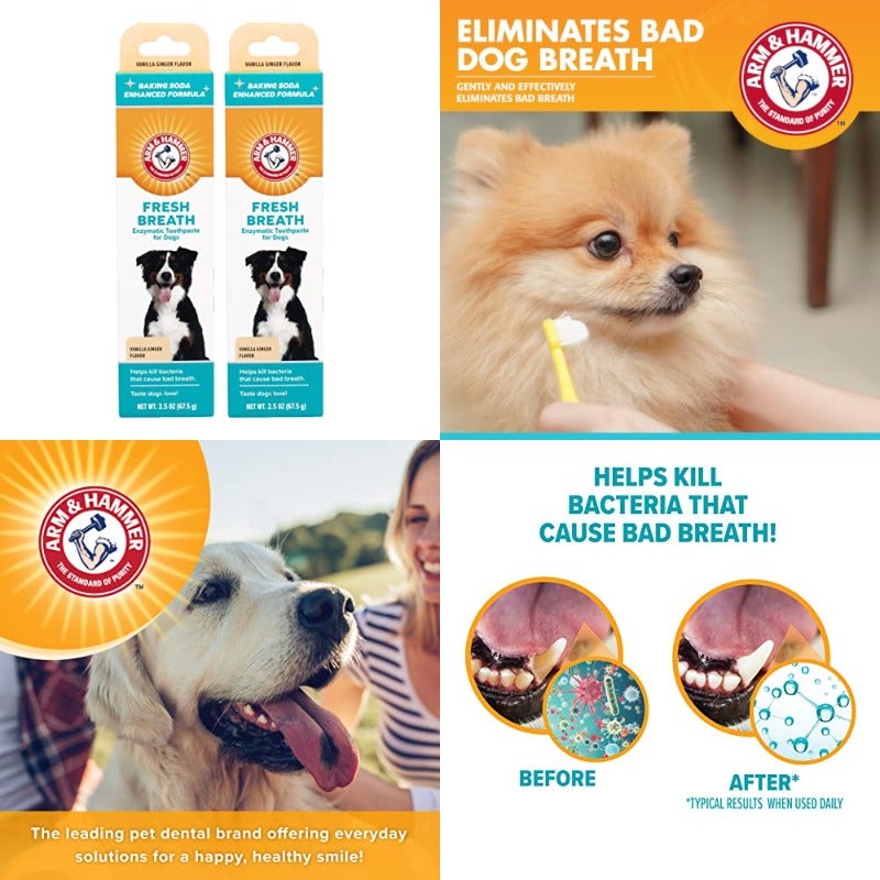 for Pets Fresh Breath Enzymatic Toothpaste for Dogs Vanilla Ginger Flavor Dog Toothpaste for All Dogs in a Flavor Dogs will Love 2.5 Ounces - 2 Pack - Image 1
