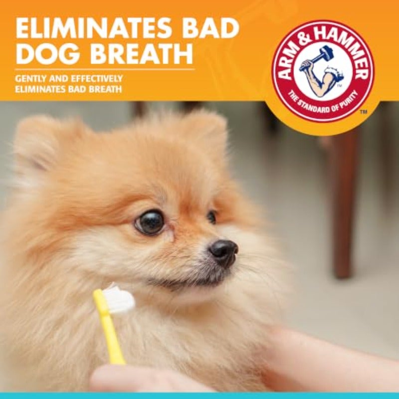 for Pets Fresh Breath Enzymatic Toothpaste for Dogs Vanilla Ginger Flavor Dog Toothpaste for All Dogs in a Flavor Dogs will Love 2.5 Ounces - 2 Pack - Image 4