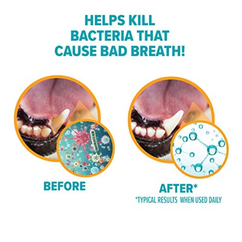 for Pets Fresh Breath Enzymatic Toothpaste for Dogs Vanilla Ginger Flavor Dog Toothpaste for All Dogs in a Flavor Dogs will Love 2.5 Ounces - 2 Pack - Image 3