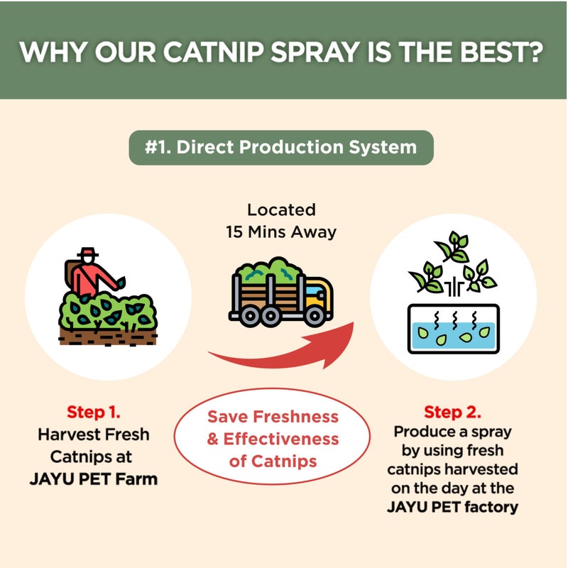 JAYU PET Active Catnip Spray - High Potency Transparent Liquid Spray made of Fresh Organic Catnip for Indoor Cats and Kittens, Relieves Stress, Calming, Revives Toys (1fl oz) (Catnip Spray, 1fl oz) - Image 4