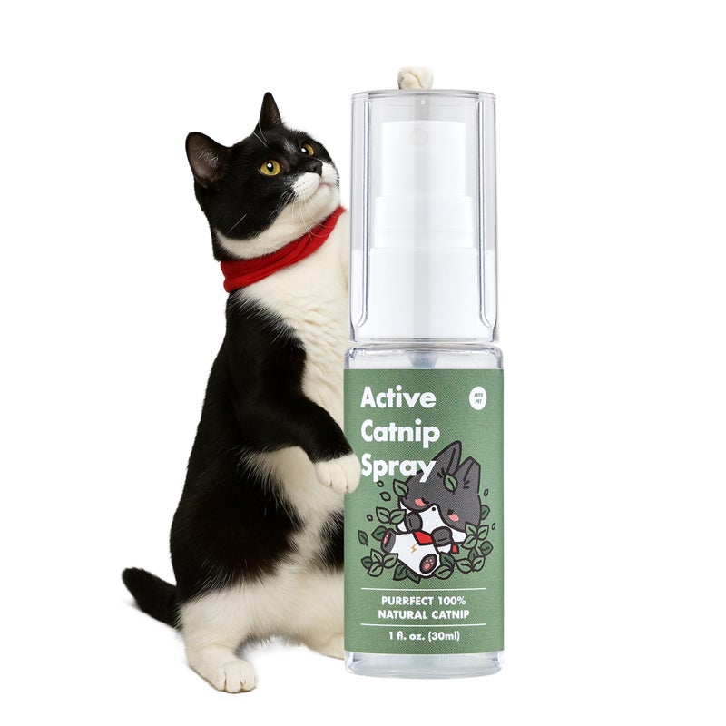 JAYU PET Active Catnip Spray - High Potency Transparent Liquid Spray made of Fresh Organic Catnip for Indoor Cats and Kittens, Relieves Stress, Calming, Revives Toys (1fl oz) (Catnip Spray, 1fl oz) - Image 1