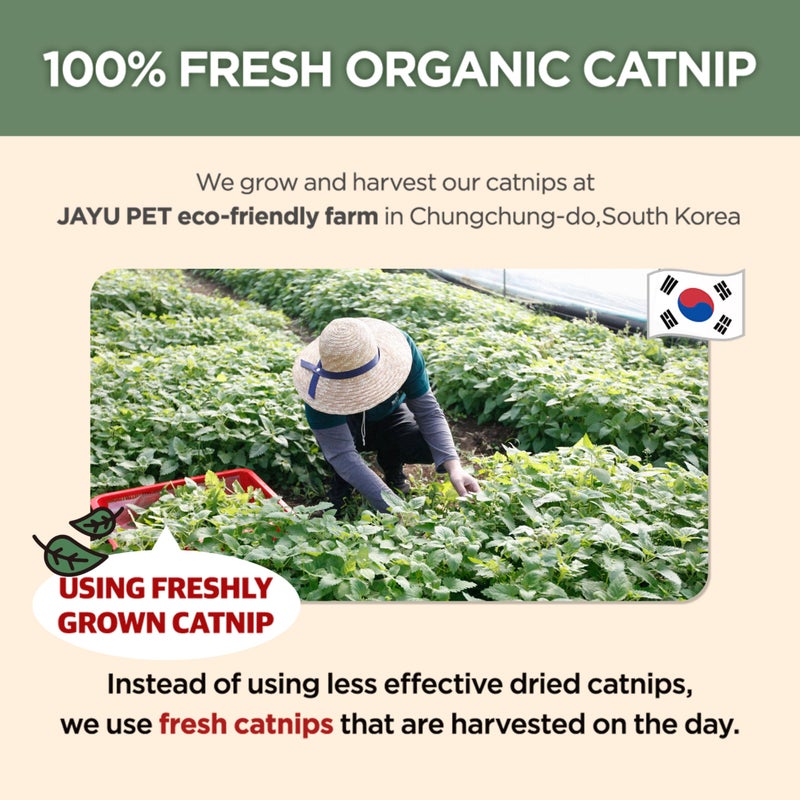 JAYU PET Active Catnip Spray - High Potency Transparent Liquid Spray made of Fresh Organic Catnip for Indoor Cats and Kittens, Relieves Stress, Calming, Revives Toys (1fl oz) (Catnip Spray, 1fl oz) - Image 2