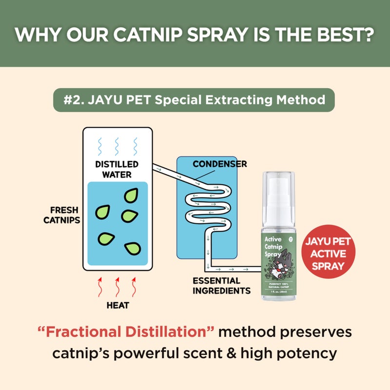 JAYU PET Active Catnip Spray - High Potency Transparent Liquid Spray made of Fresh Organic Catnip for Indoor Cats and Kittens, Relieves Stress, Calming, Revives Toys (1fl oz) (Catnip Spray, 1fl oz) - Image 5