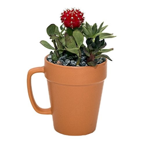 Culver 14-ounce Flower Pot Ceramic Mug, Set of 2 (Terra Cotta Color) - Image 2